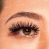 Girl Next Door Natural False Eyelashes-Blaire