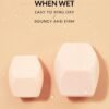 Multi-Faceted Makeup Sponge