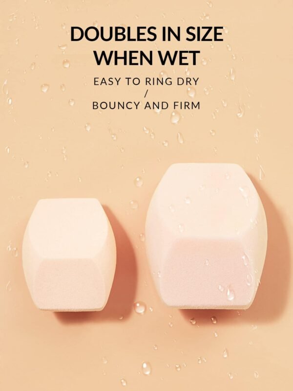 Multi-Faceted Makeup Sponge