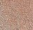 Glowchi Bouncy Highlighter