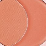 Cheek 2 Cheek Blush Duo