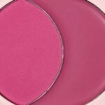 Cheek 2 Cheek Blush Duo