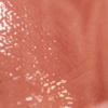 Ember Rose Immortal Love Nourishing Lip Gloss