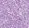 Crystal Intentions High Vibration Blushlighter