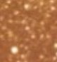 Sunlit Silk Highlighting Body Oil